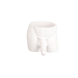 Interesting Flower Pot Gift Flower Pot for Small Indoor Plants and Succulents Home Decor