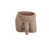 Interesting Flower Pot Gift Flower Pot for Small Indoor Plants and Succulents Home Decor