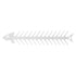 Flat Double Pronged Skewers Stainless Steel Reusable BBQ Skewers for Meet Kitchen Camping Fish Shape