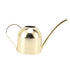 Watering Can Stainless Steel Sprinkling Pot Large Capacity Long Spout for Indoor Outdoor House Planting Gardening Gold