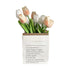 Artificial Flowers Tulipa Style Fine Details Colorfast Vibrant Colors Plastic Flowers for Office Living Room Photography White and Champagne