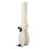 Chlorine Tablet Holder Pole Pool Tablet Holder Plastic Easy Installation Pool Cleaning Accessory for Pool Maintenance