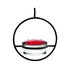 Beautiful Circular Hanging Hummingbird Feeder Outdoor Hanging Humming Bird Feeder 1pc