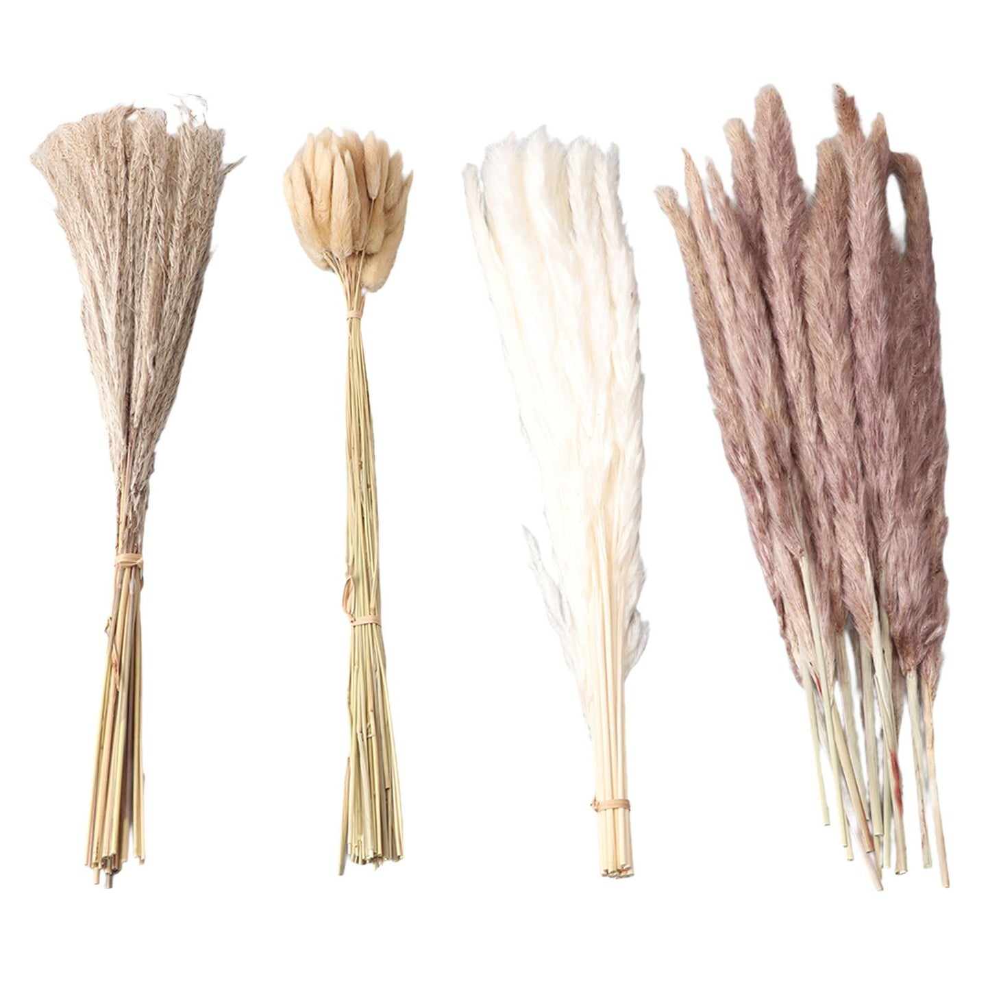 Natural Dried Pampas Grass Fluffy 15PCS White Pampas 15PCS Brown Pampas 50PCS Bunny Tail Grass 20PCS Reed Grass for Home Wedding Decor