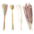 Natural Dried Pampas Grass Fluffy 15PCS White Pampas 15PCS Brown Pampas 50PCS Bunny Tail Grass 20PCS Reed Grass for Home Wedding Decor