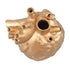 Creative Anatomical Heart Vases Resin Sculpture Heart Shaped Art Flower Vases Desktop Home Decoration for Living Room Gold