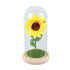 Simulation Sunflower Glass Cover Decoration Luminous LED Artificial Eternal Sunflower Glass Dome for Women