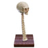 Skeleton Lamp Halloween 3D LED Skeleton Lamp Haunted House Ornament Prop Gifts for Birthday
