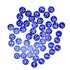 50PCS Numbered Label Numbered Tag for Farm Livestock Beekeeping Husbandry Breeding Supplies1-50 Blue