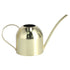 1000ML Watering Can Indoor Vintage Stainless Steel Succulent Flowers Plants Watering Kettle Pot Gold