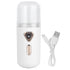 30ml Mini Facial Humidifier Portable Nano Atomization USB Charging Face Mist SprayerWhite