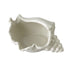 White Ceramic Conch Shell Conch Shape Ceramic Jewelry Tray Ocean Style Earrings Necklace Storage Dish Decorative Key Bowl