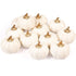 12 Pack Christmas Artificial Pumpkin Sets Made of Foam Simulation Pumpkin Ornament for Autumn Halloween Thanksgiving Decoration