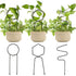 3 Pcs Metal Garden Trellis Climbing Plants Support Indoor Iron Plant Trellis for Ivy Vine Rose Flowers House Plants