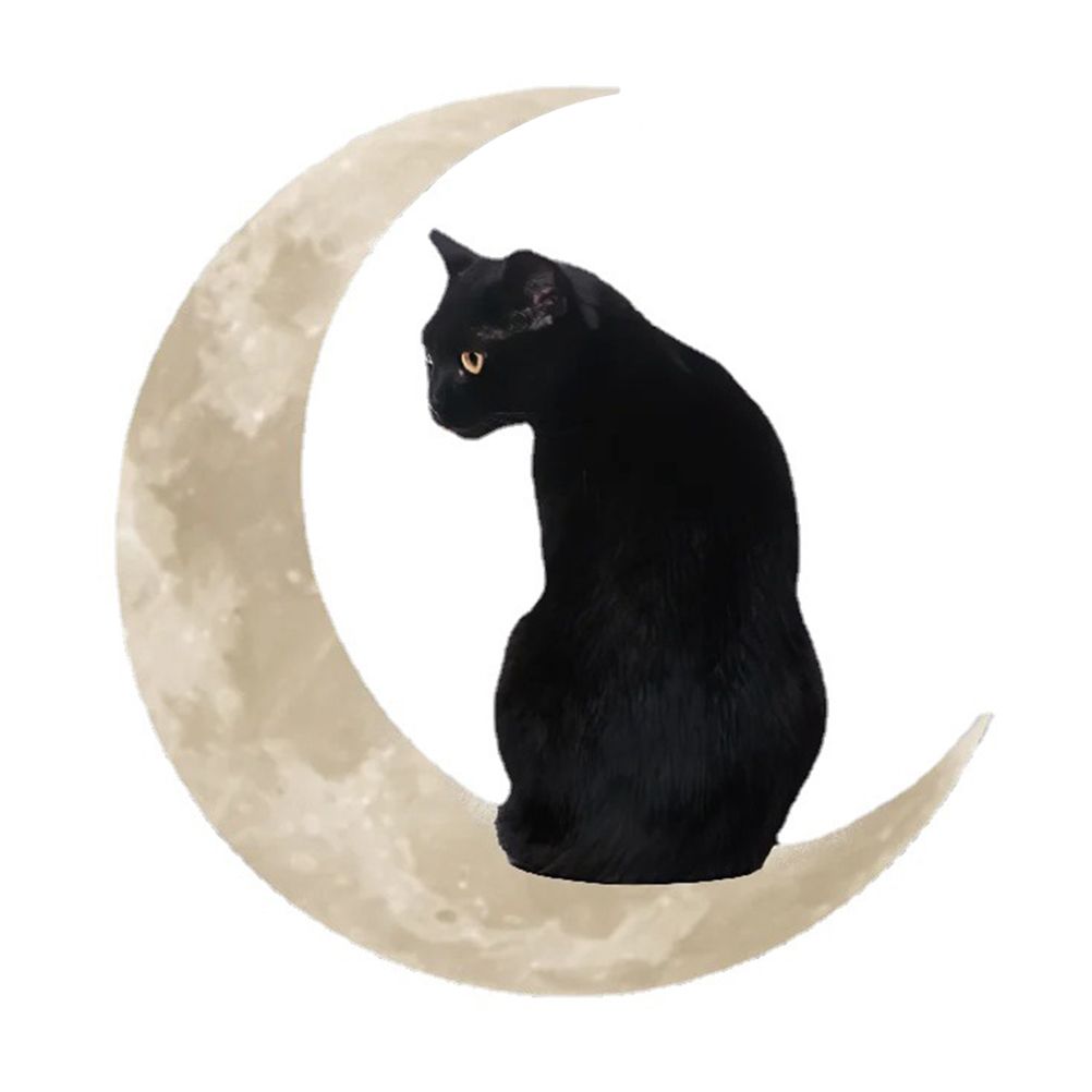 Metal Black Cat Moon Hanging Sign Cat On The Moon Wall Hanging Pendant Home Indoor Decor Gifts