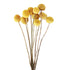 Artificial Dried Pampas Grass Plastic Simulation Reed for Wedding Home Decoration