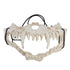 Skull Mask Latex Tiger Tooth Type Durable Waterproof Adjustable Scary Mask for Party Festival Theater