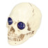 Skull Ornaments Vivid Lightweight Easily Clean Add Horror Ambience Halloween Props for Party Haunted House Decoration
