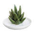 Ceramic Ring Holder Aloe Ring Dish Jewelry Holder Rings Bracelets Earrings Green Succulent Trinket Tray Gift for Women Girls