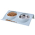 Double Bowls for Dog Stainless Steel Pet Bowl Splashproof Feeding Bowl for Pet