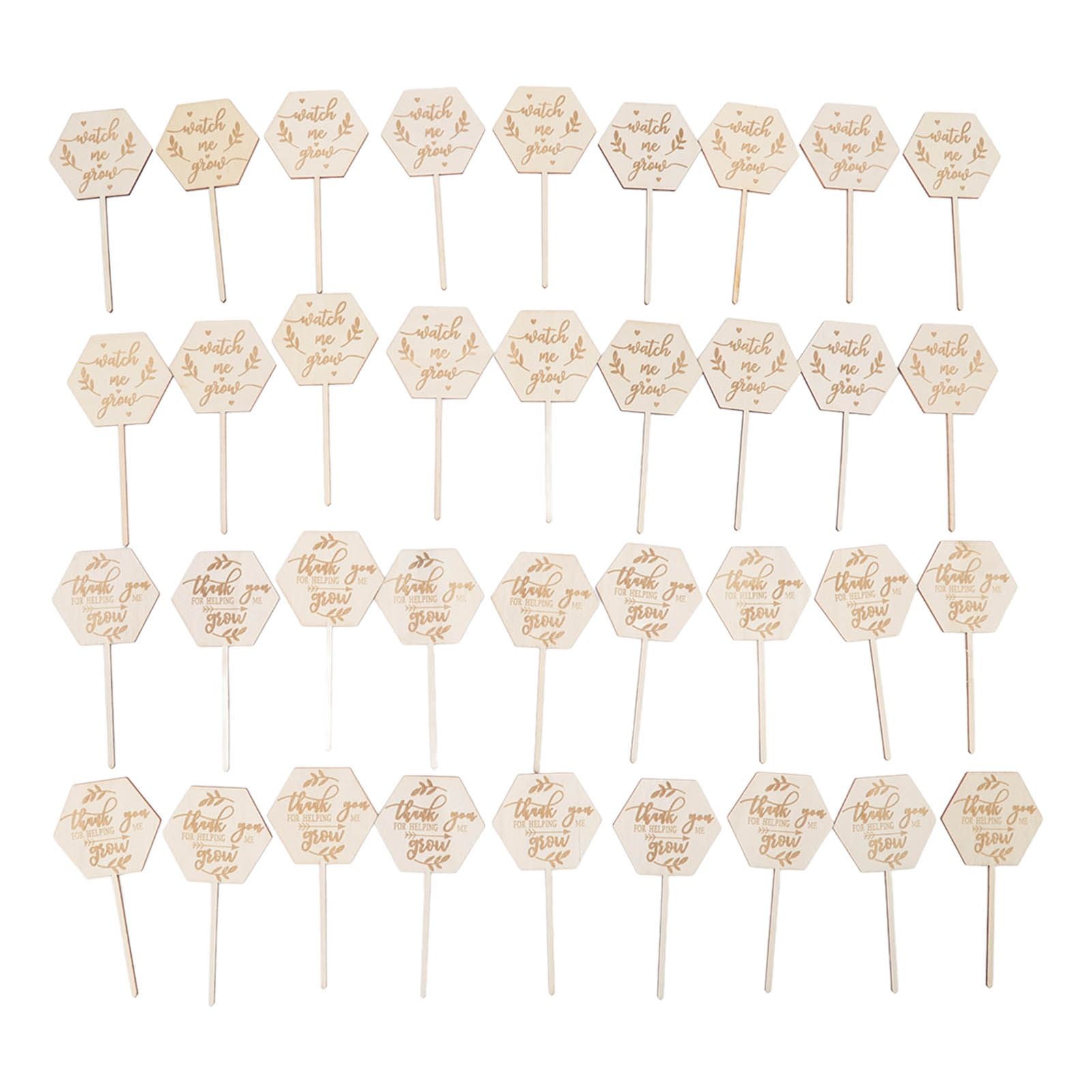 36pcs Watch Me Grow Succulent Tags Safe Eco Friendly Wooden Hexagonal Succulent Tags for Flower Pot Decoration Plant