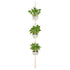 Planter Flower Pot Hanging Rope Basket for Indoor