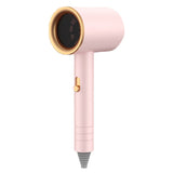 Hair Drier Mute 360 Degree Rotatable Nozzle Fast Drying ABS PP Portable Blow Dryer for Home Salon Rose avec lumière bleue
