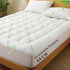 800GSM Mattress Topper Viscose Derived from Bamboo, Thick Pillowtop Fitted Mattress Cover with 45cm Deep Skirt - Machine Washable Hypoallergenic(Queen,,Green)