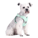 BORORO Pet Harness Cloth Vest Style Light Ice Blue + traction rope M