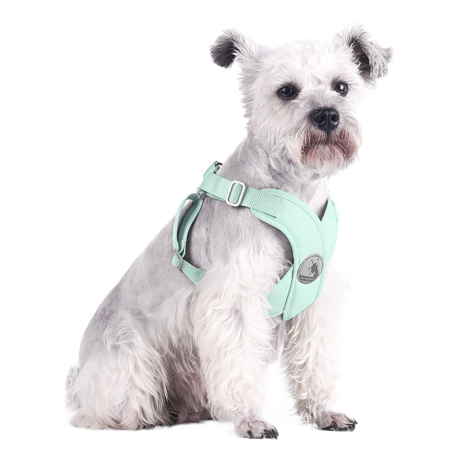 BORORO Pet Harness Cloth Vest Style Light Ice Blue + traction rope M