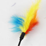 Cat Feather Toy PVC 50cm Macaron Turkey 50cm (including colorful feathers)