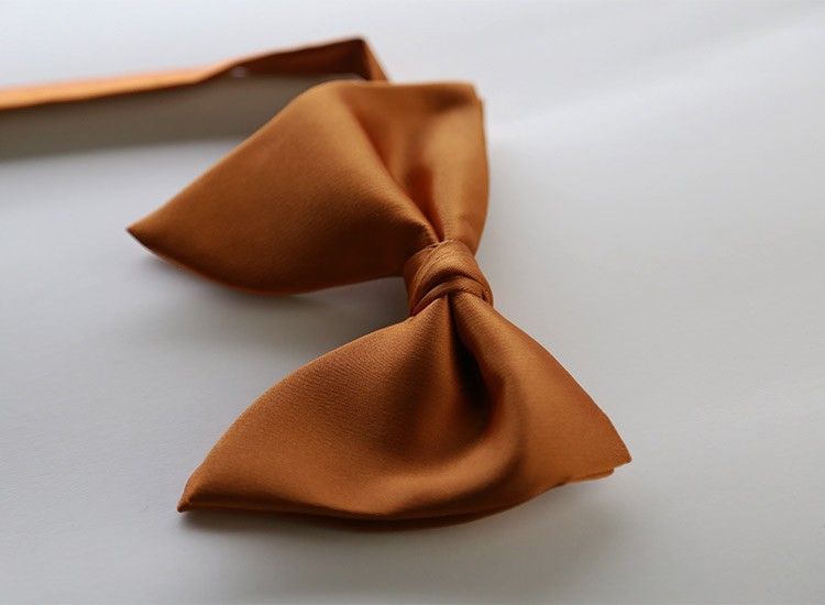 Men Bow Tie Solid Color Black Polyester Goose yellow