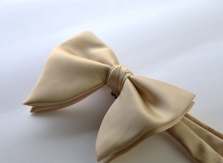 Men Bow Tie Solid Color Black Polyester Champagne