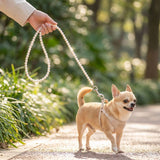 Platinum Pearl Beaded Dog Leash 120cm Mermaid Pink (120 cmx1.0)