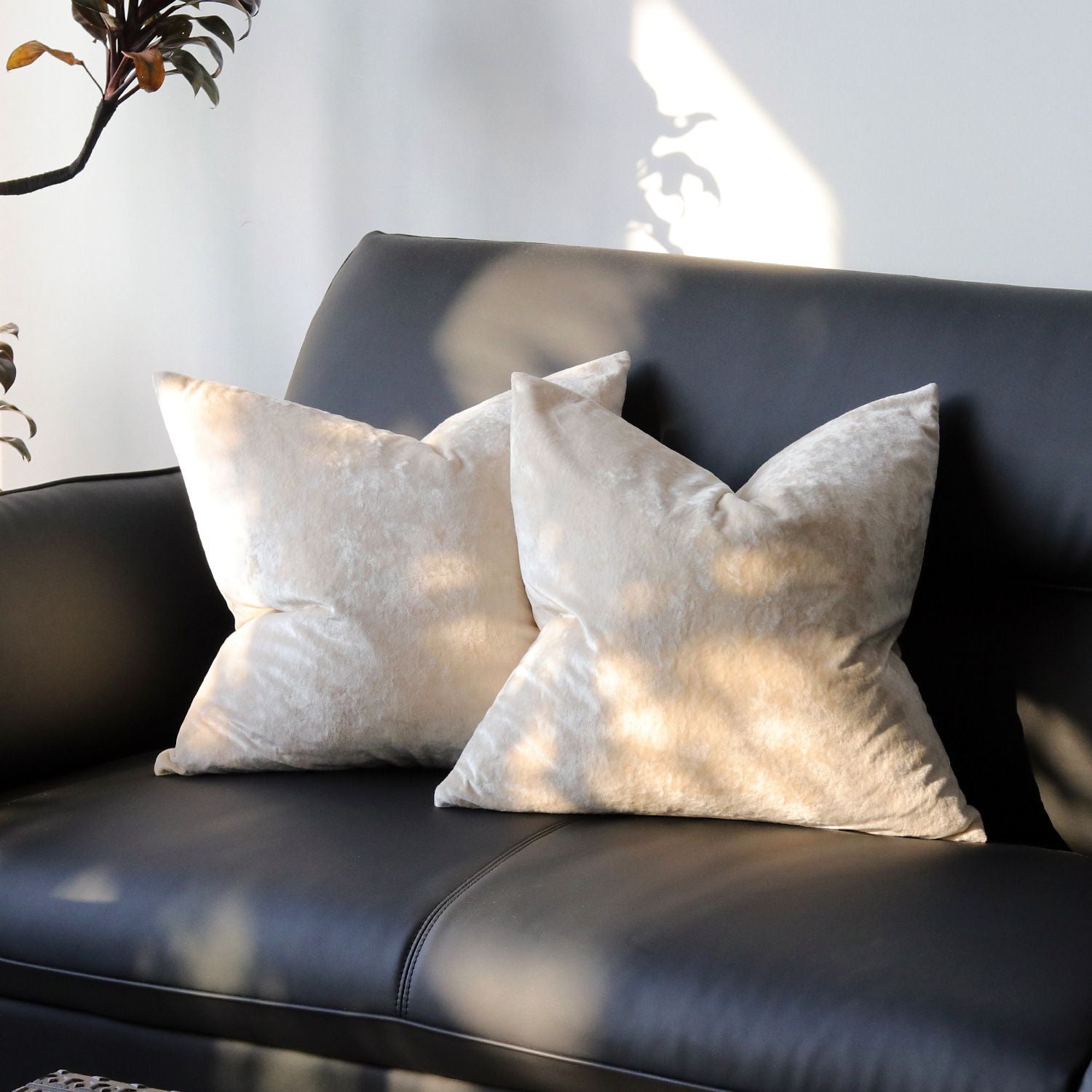 Ice Velvet Pillow Cover Polyester Solid Color 30x50cm Beige 60*60cm without pillow core