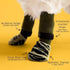 Dog Shoes Non Slip Indoor Outdoor Cotton Green tiger claw [opp bag] M medium size 6.5*16cm [recommended within 10-15kg inches] [pack of four]