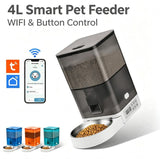 Smart Pet Feeder with WiFi and Button Control, 4L Automatic Cat and Dog Food Dispenser with Removable Stainless Steel Bowl, Ideal for Busy Owners, Travel, and Home Use (Grey, Button Version)