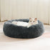 Plush Pet Nest Soft Donut Cat Bed – Cozy Round Couch for Cats and Small Dogs, Comfortable Sleeping Spot for Warmth and Deep Sleep, Suitable for Indoor Home Use (M, Grey)