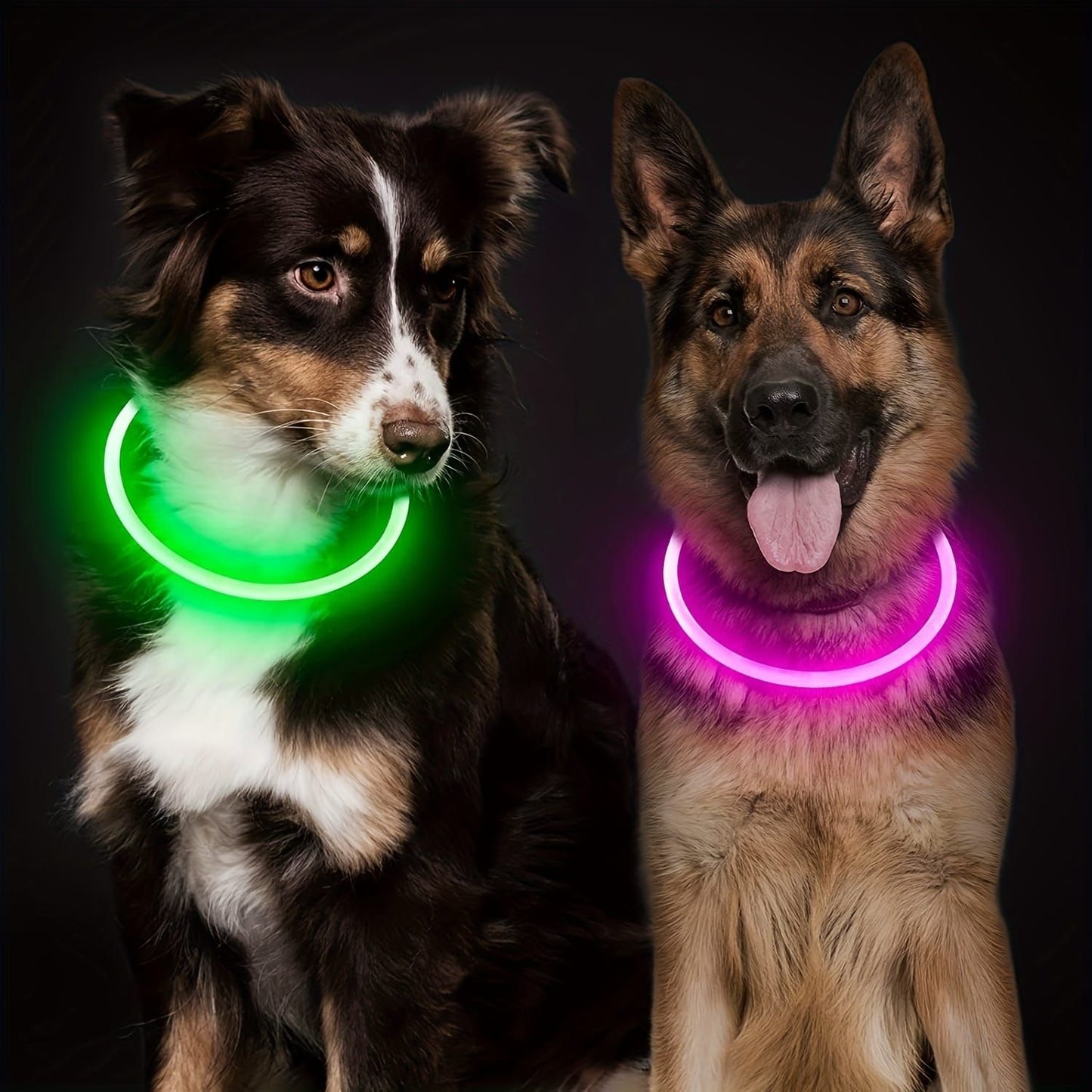 USB Rechargeable LED Glow Pet Collar, Soft Silicone Night Safety Dog & Cat Collar with 6 Colors, 3 Modes, Adjustable Length for Small, Medium, Large Pets, Ideal for Evening Walks and Outdoor Visibility (M, Pink)