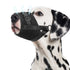 Soft Breathable Mesh Dog Muzzle for Small Medium Large Dogs, Adjustable Anti-Biting Barking Chewing Muzzle for Walking, Training, and Grooming (L, Black)