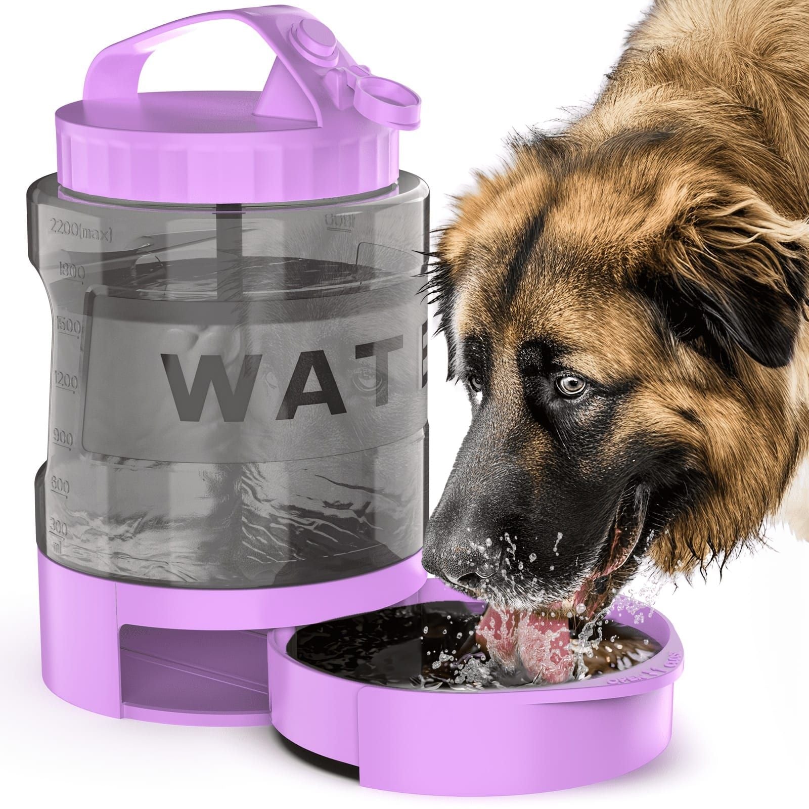 Portable Pet Water Bottle with Built-in Bowl – Leak-Proof, Large Capacity 77oz for Camping, Hiking, and Dog Park Adventures – Ideal for Small to Medium Breeds, Easy to Carry Outdoor Dog Travel Dispenser (Purple)