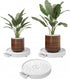 CARLA HOME 2-Pack Rolling Plant Stand with 360° Wheels for Indoor Pots (26 cm)