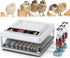 CARLA HOME 70 Egg Incubator with Automatic Turning, LED Display, Humidity & Temperature Control, Auto Water System & Built-in Egg Candler for Chicken, Duck, Quail, Goose
