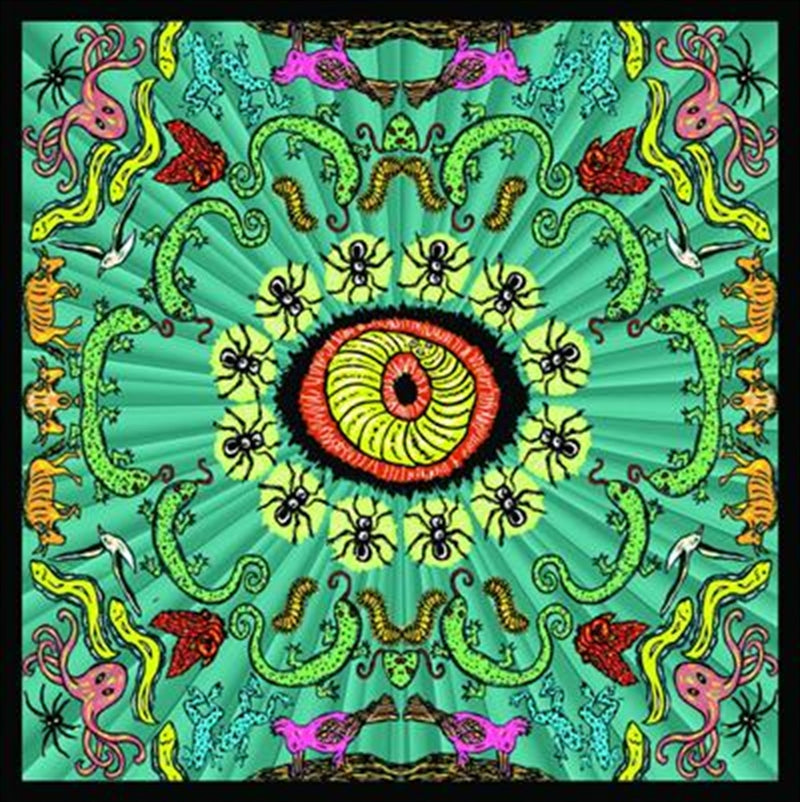 Wilderness - Handsome Family Cd Album