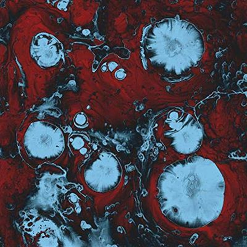 Infinite Games - Black Queen Cd Album