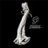 Beneath The Eye - Pixies Cd Album