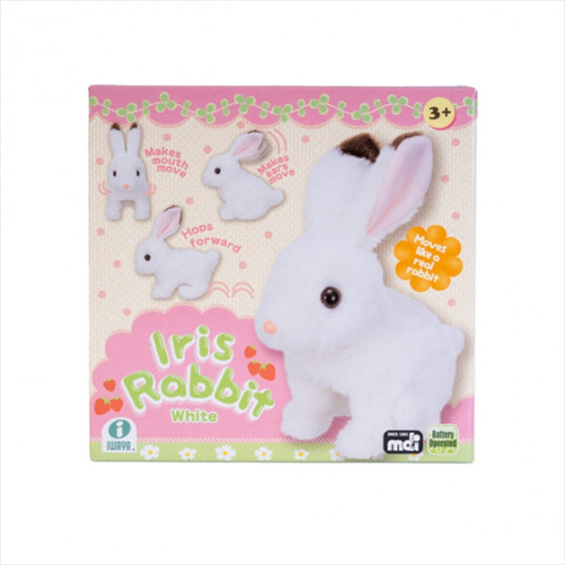 Animated Pet Bunny