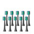 10x Electric Toothbrush Head Replacement Attachment Green AOE04