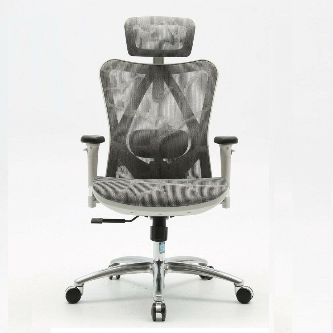 Sihoo M57 Ergonomic Office Chair, Computer Chair Desk Chair High Back Chair Breathable,3D Armrest and Lumbar Support Gre