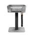 Grey Cat Scratching Tree Scratcher Post Pole Furniture Gym House